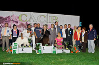 CACIB Uzice 2008 & Specialty Dog Shows