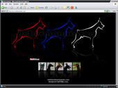 Dobermannis