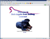 Rott-Angels from IceBerg - rottweiler kennel